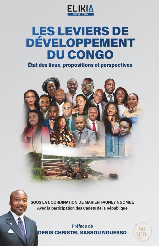 Couverture de Les leviers de développement du Congo
